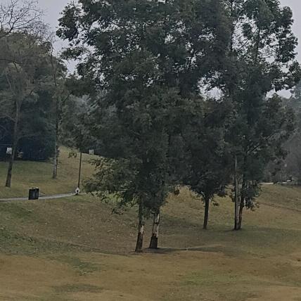 杰曦