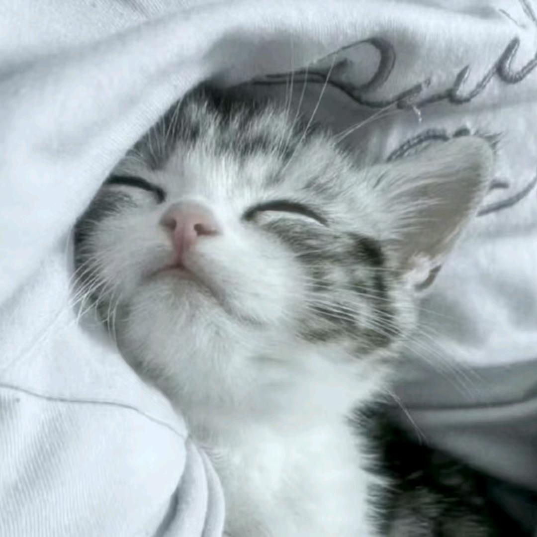 ^？（沐少）💤