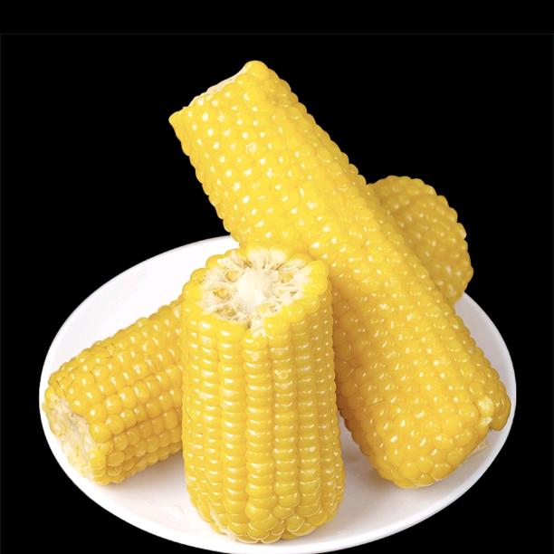 巴彦淖尔鲜食糯玉米甄选