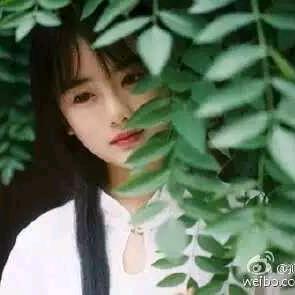 实在想不出来叫啥