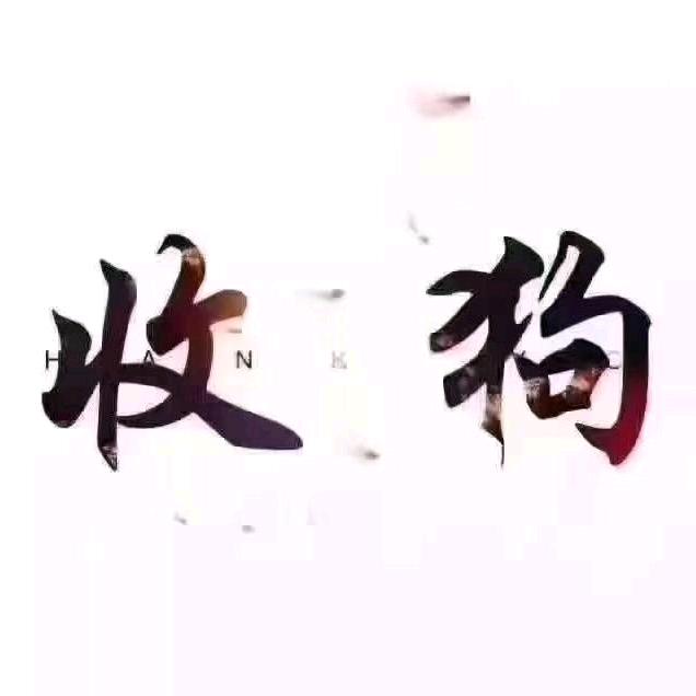 雷哥哥收狗