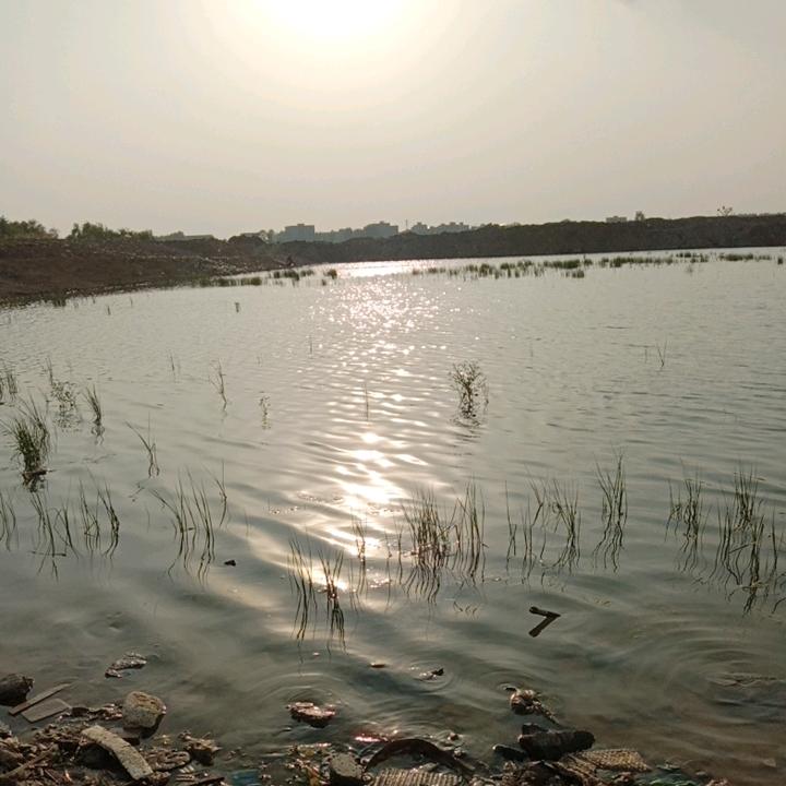 断肠人丶在天涯