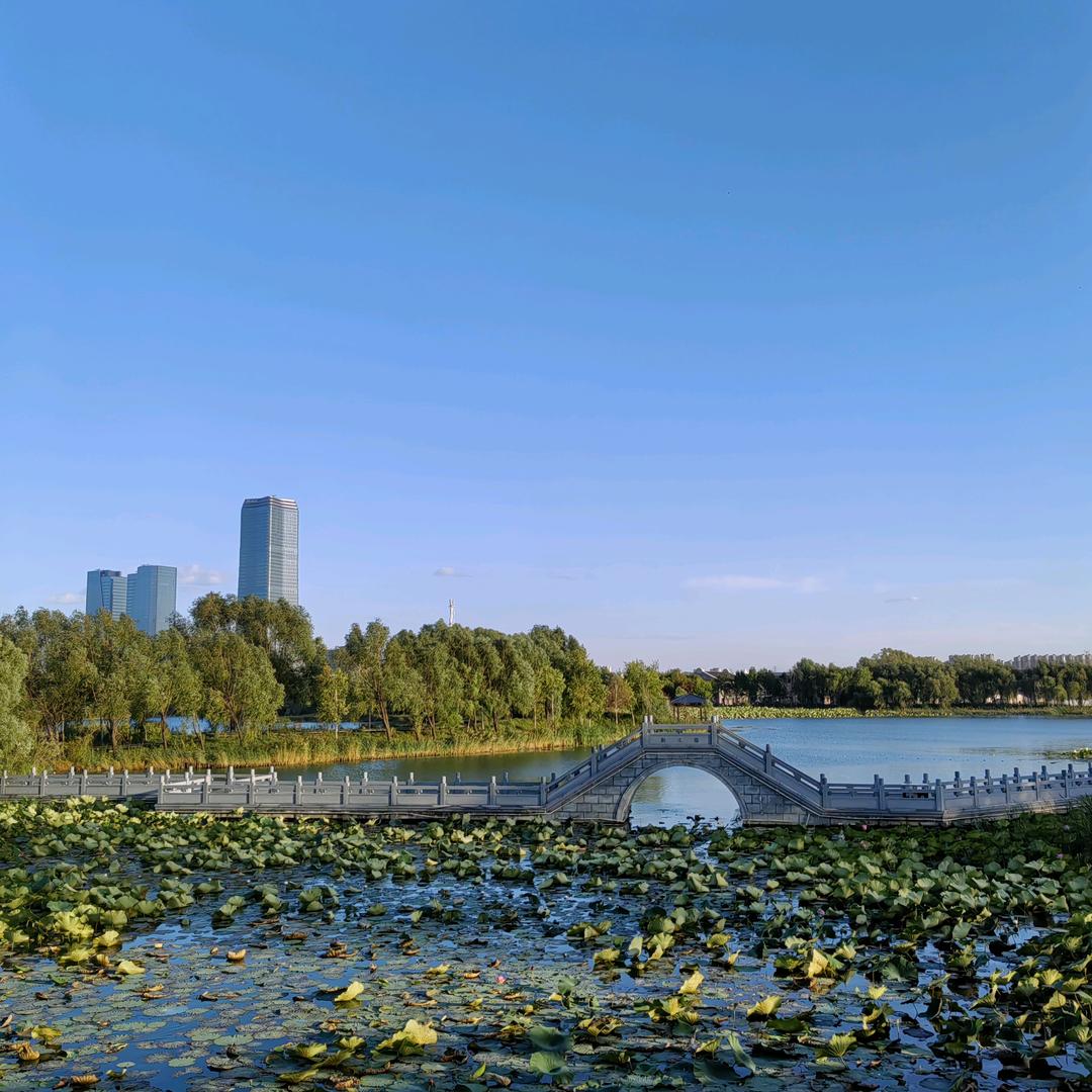 长春要饭诗人MK