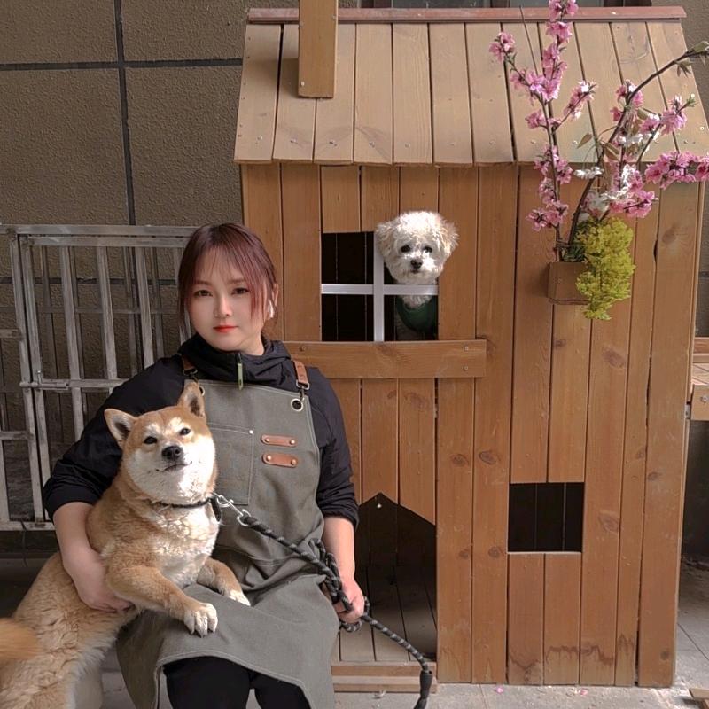 二妞带你养狗