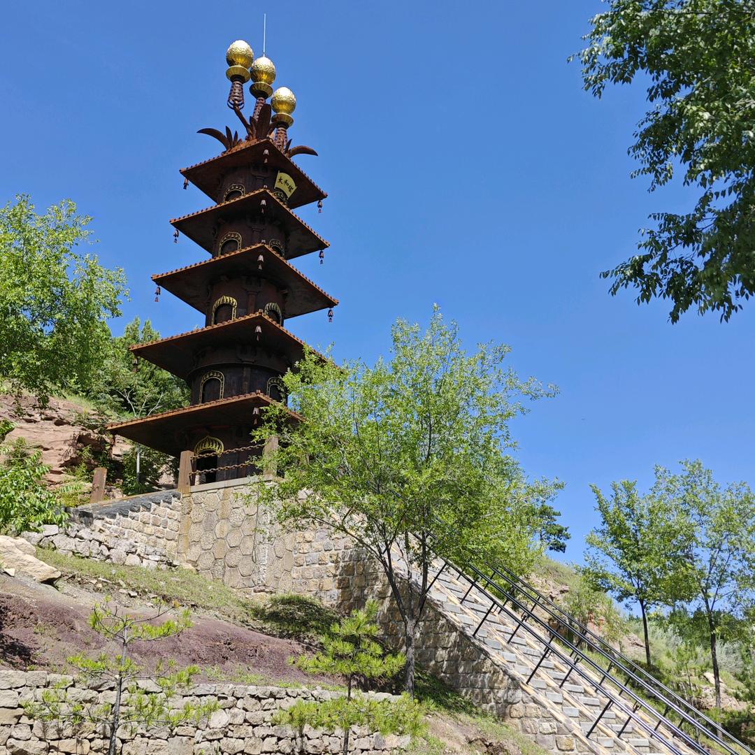 来给生活比个椰