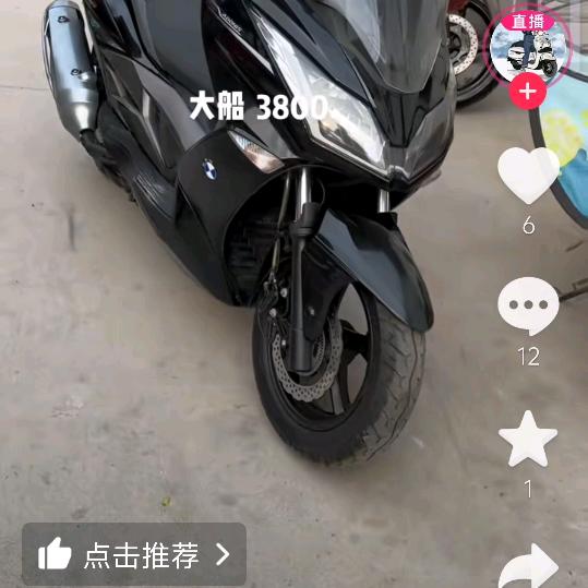 小金毛