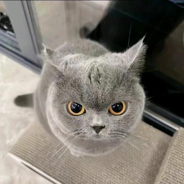 策划不会玩游戏