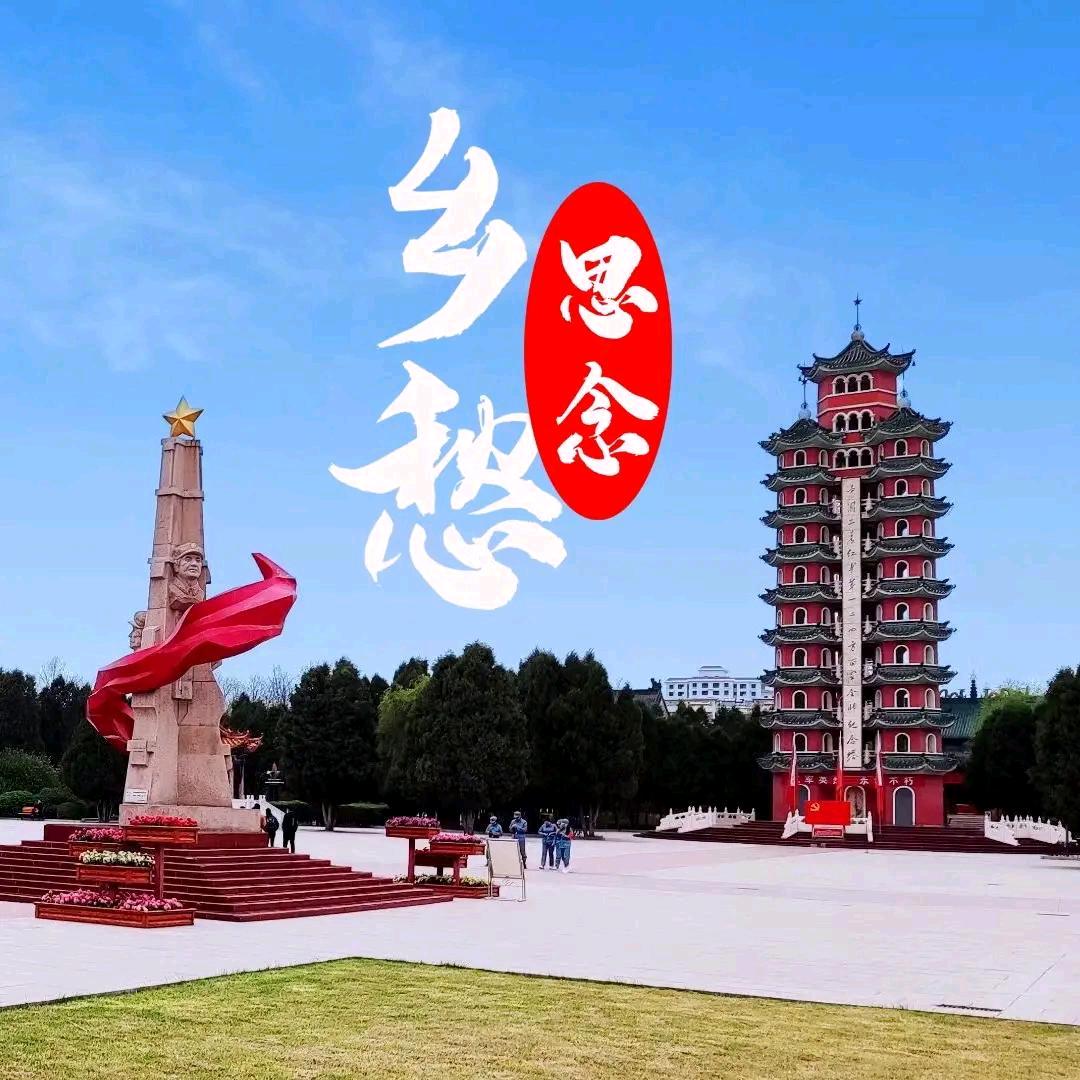 小马先生