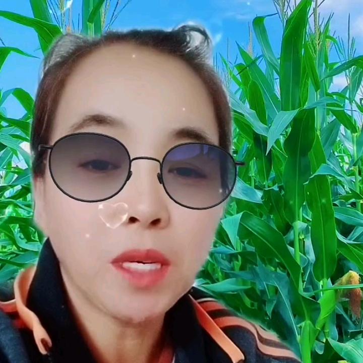 巧姐