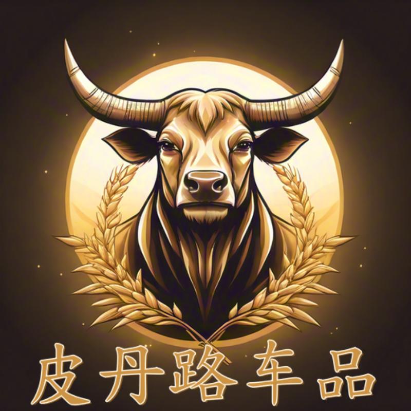 皮丹路车品