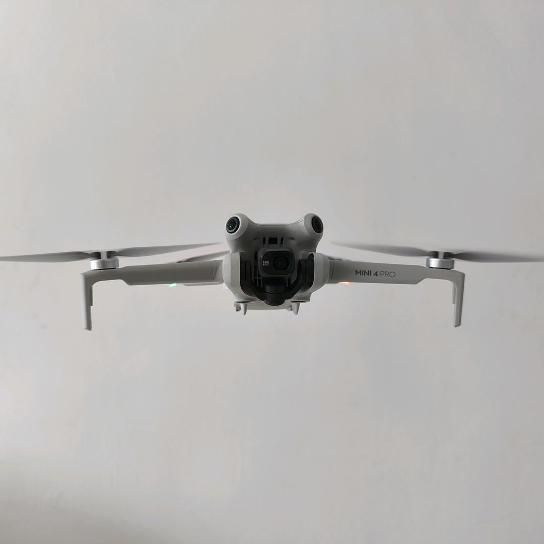 无人机新手菠萝