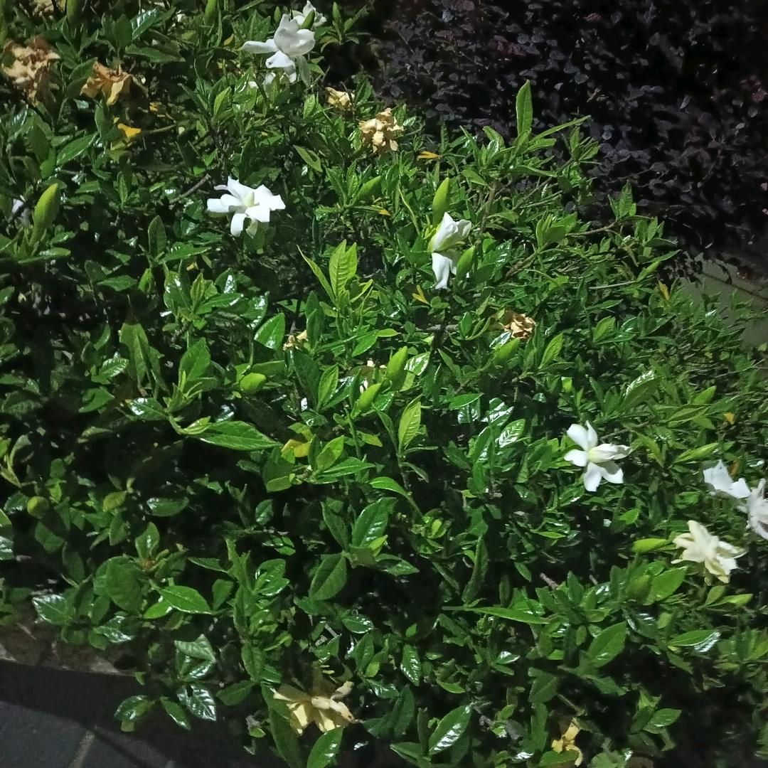 宝宝奶奶👵🏻