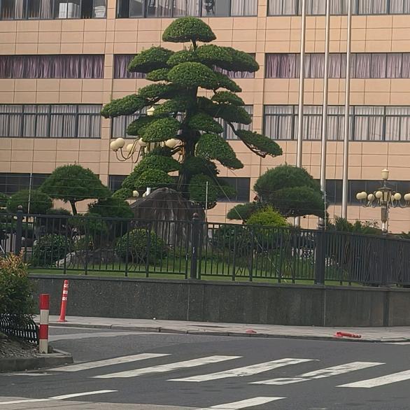 ꧁💞玉兔🐇显灵💞᭄᪲ᩚ꯭ᩚ꧂