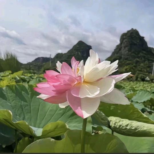 男生宿舍管理员