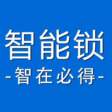 潘大头～纽米斯智能锁-智在必得