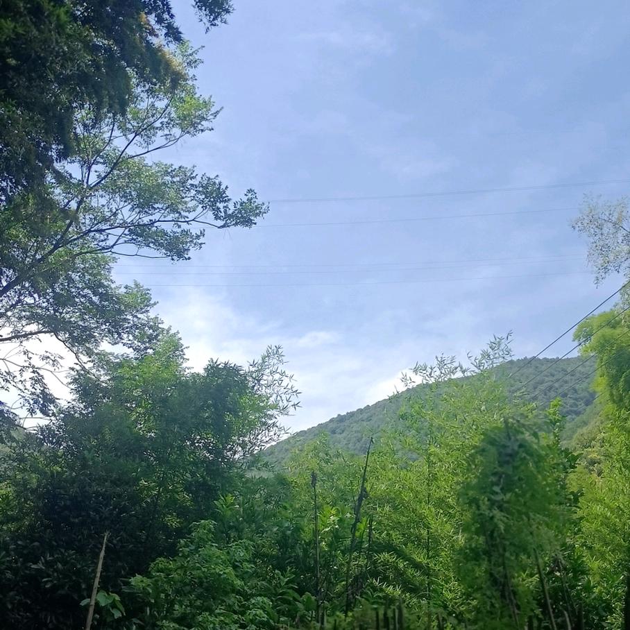 💞余💋生🌺爱💞自❤己