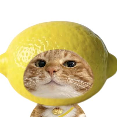 小北
