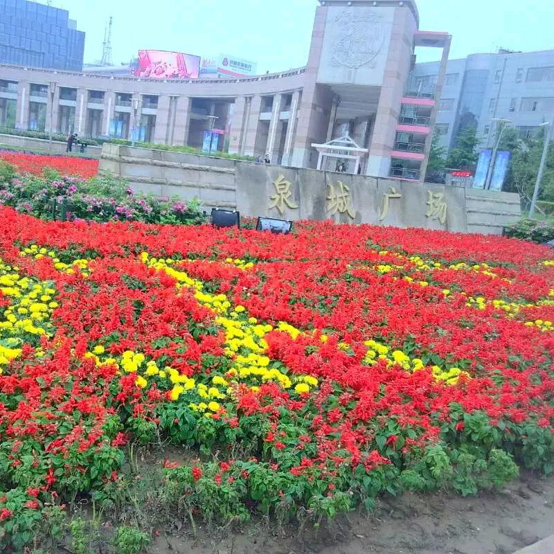 平安🍎健康