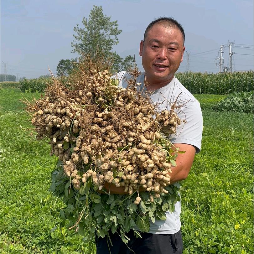 赵弟绿色农产