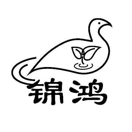 锦鸿包装源头工厂店（厦门分部）