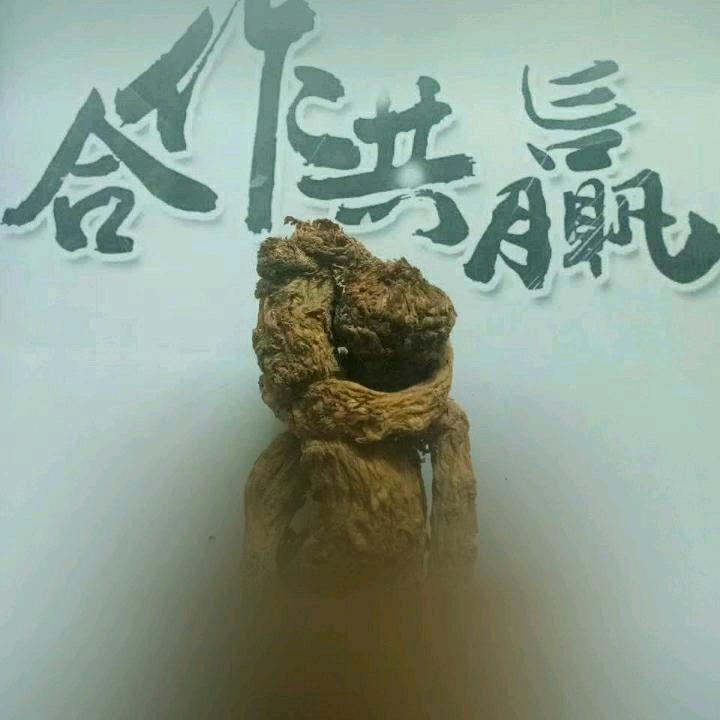 甘肃地道药材