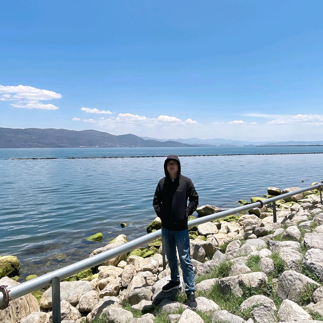 大王叫我来巡山