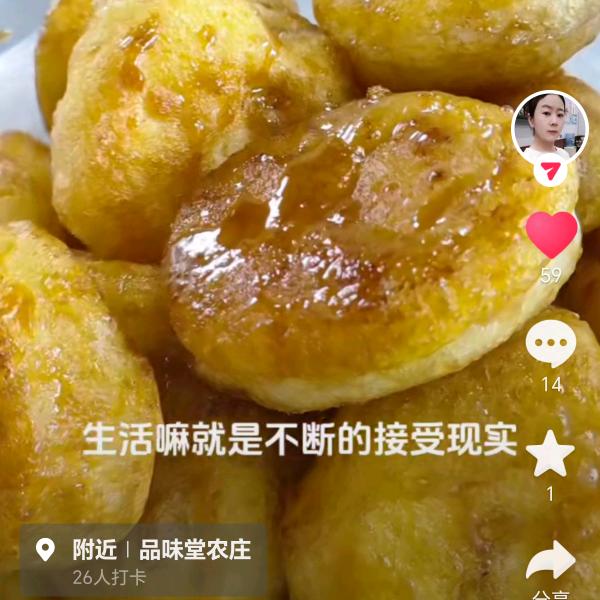 来生缘