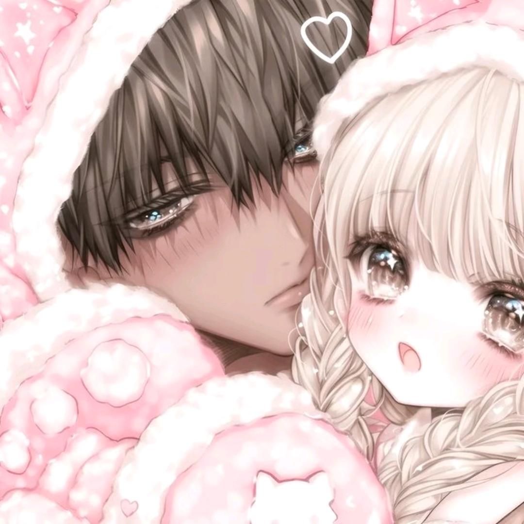 果冻猫大王万岁