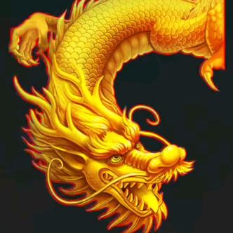 🐲🐲🐲🐲🐲