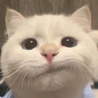 明人不放暗屁💨💨