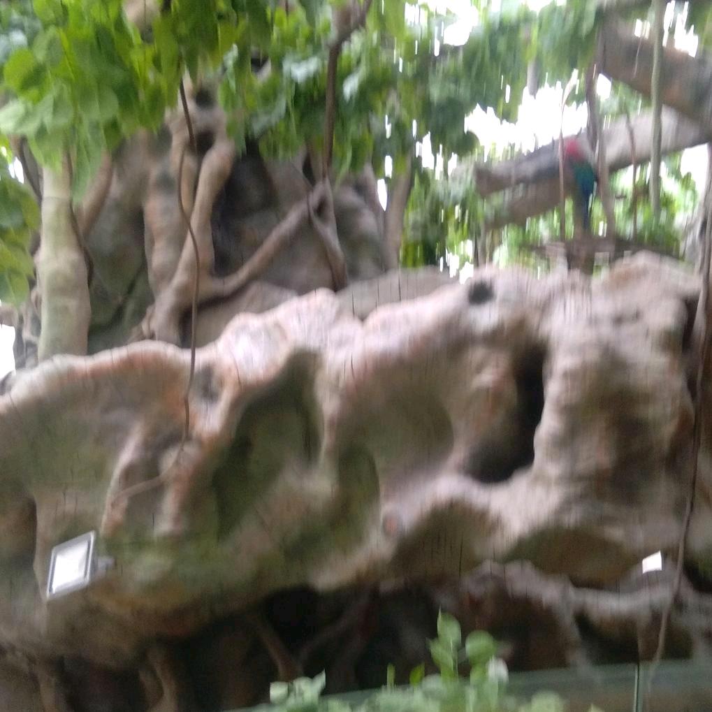 笑望佳怡