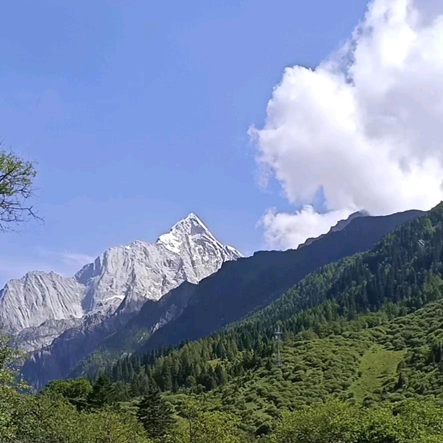 南风_知我意
