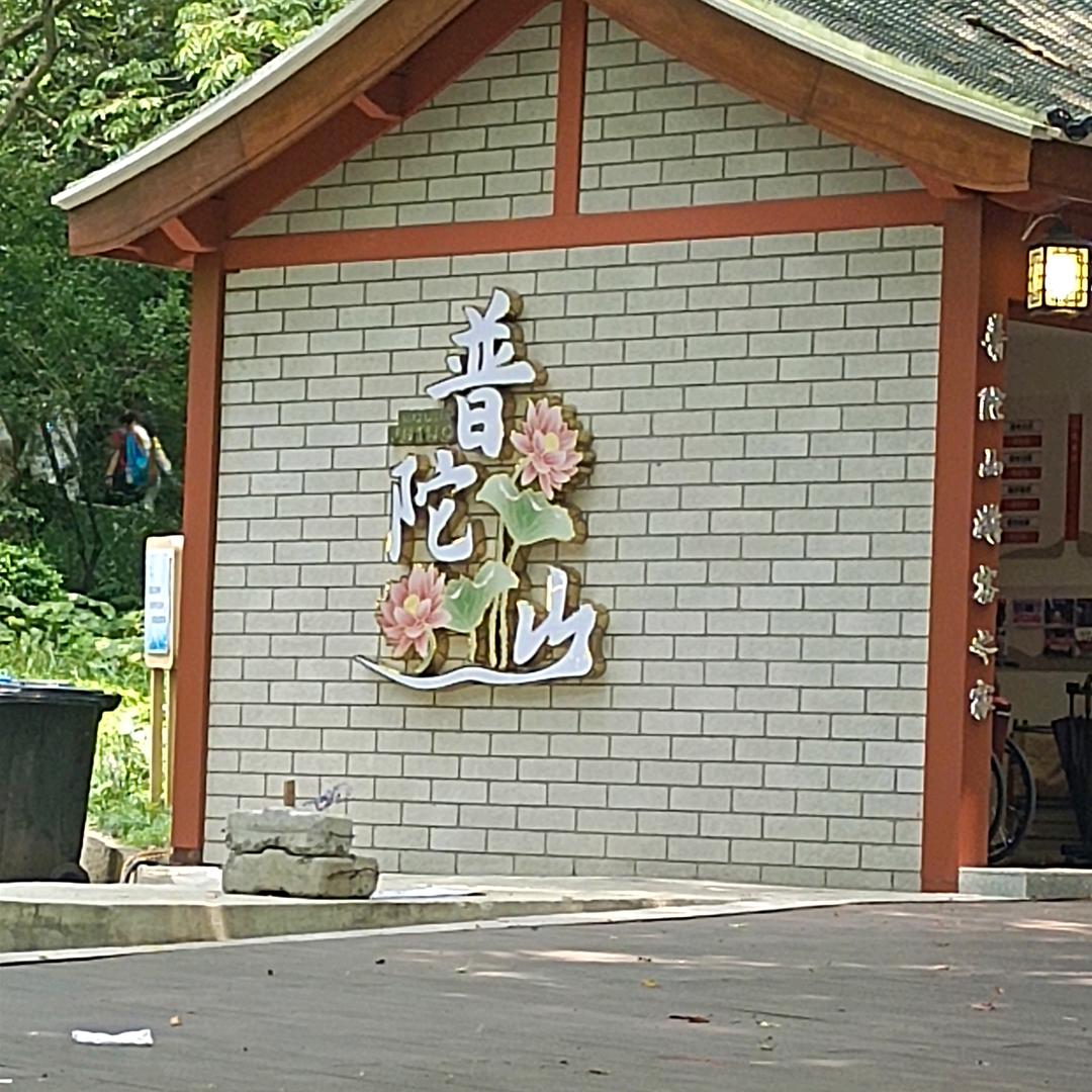 幸运鹅