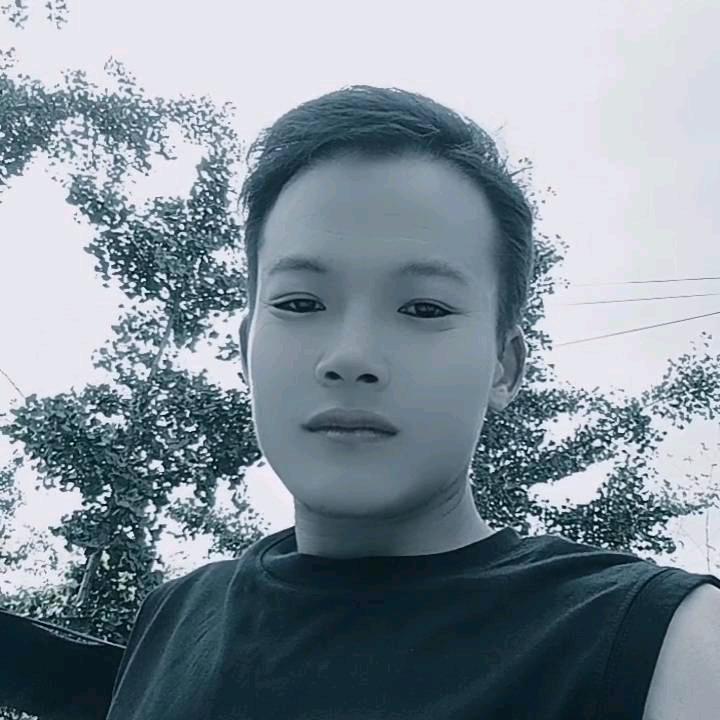 常回家看看