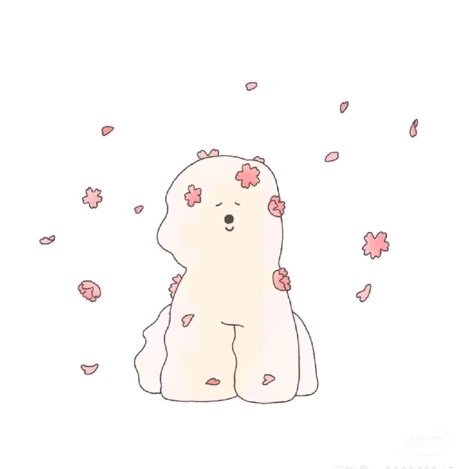 轻轻玫茉