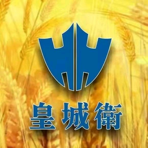 皇城衛安保