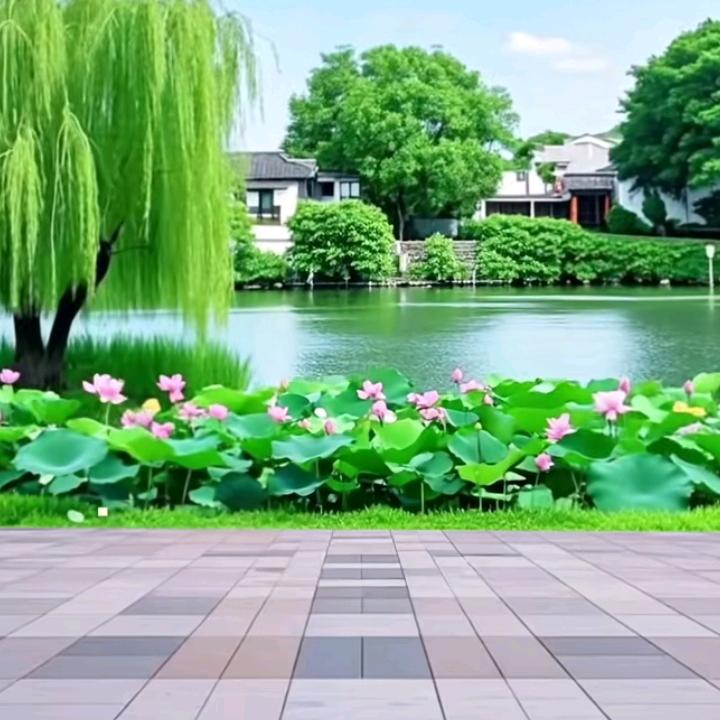 生命树