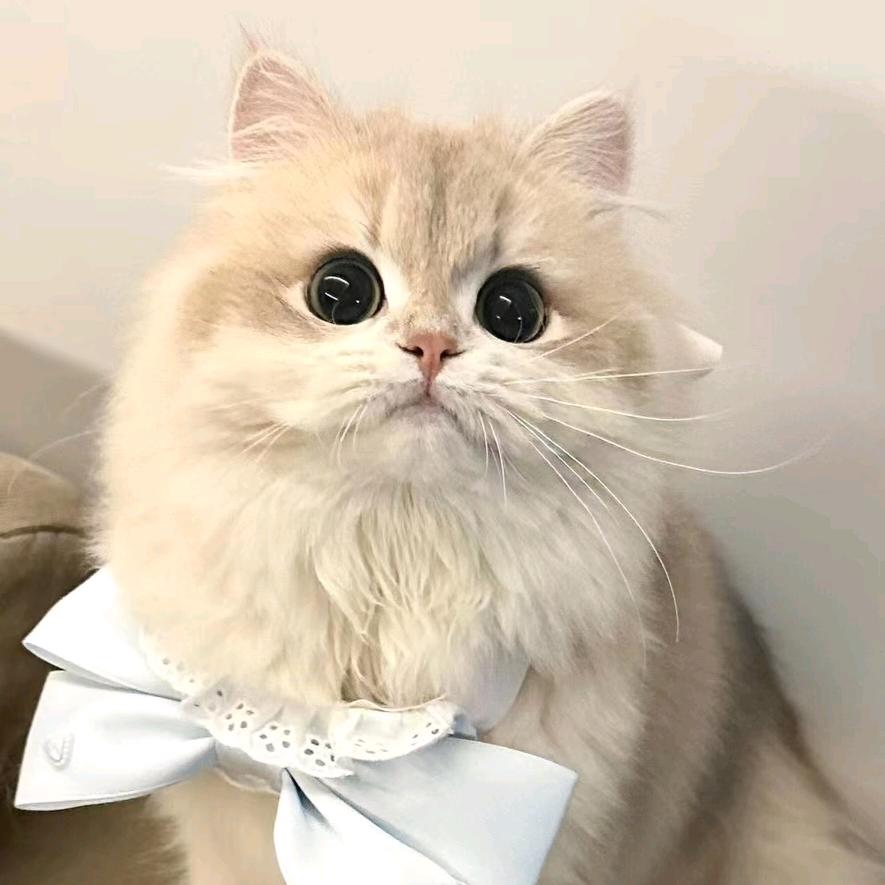 小如好物分享~❤️