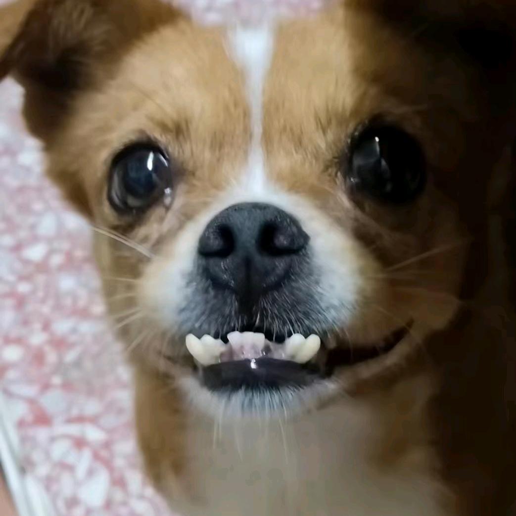 健齿总院～前台