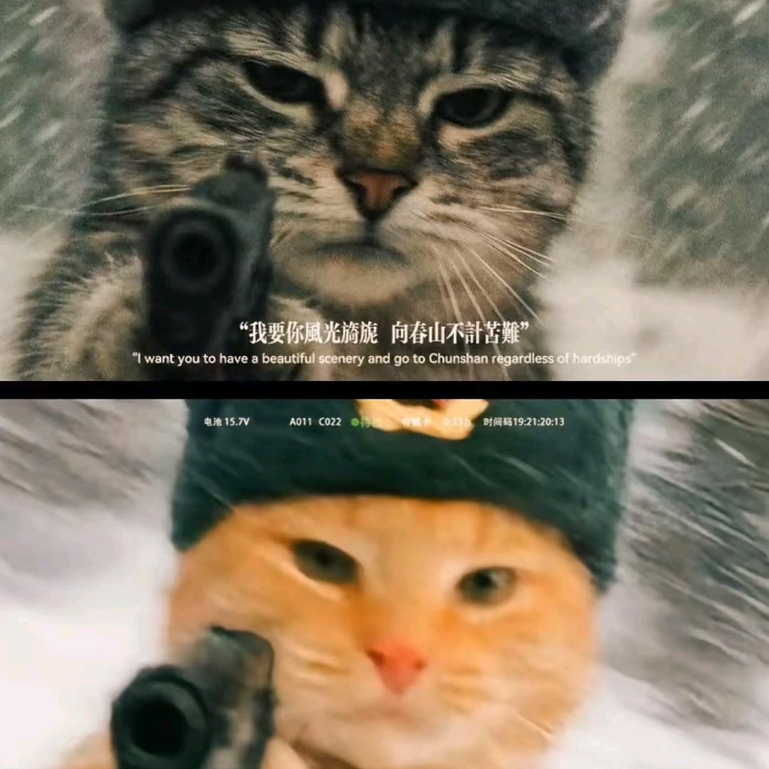 高某人
