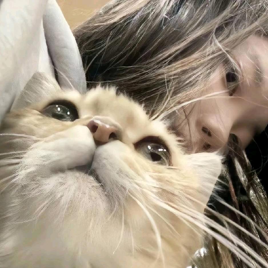 幸运星.