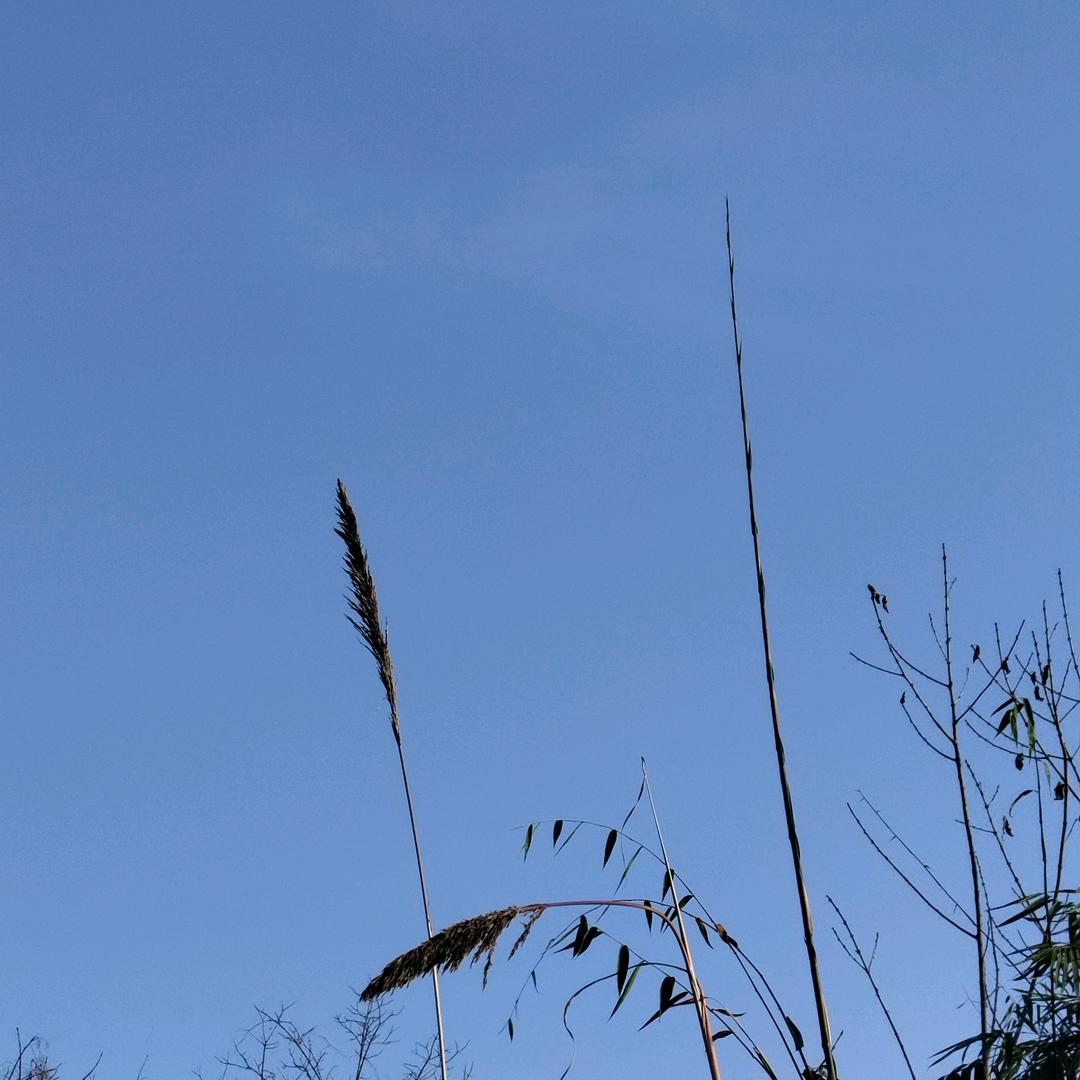 活着1⃣️