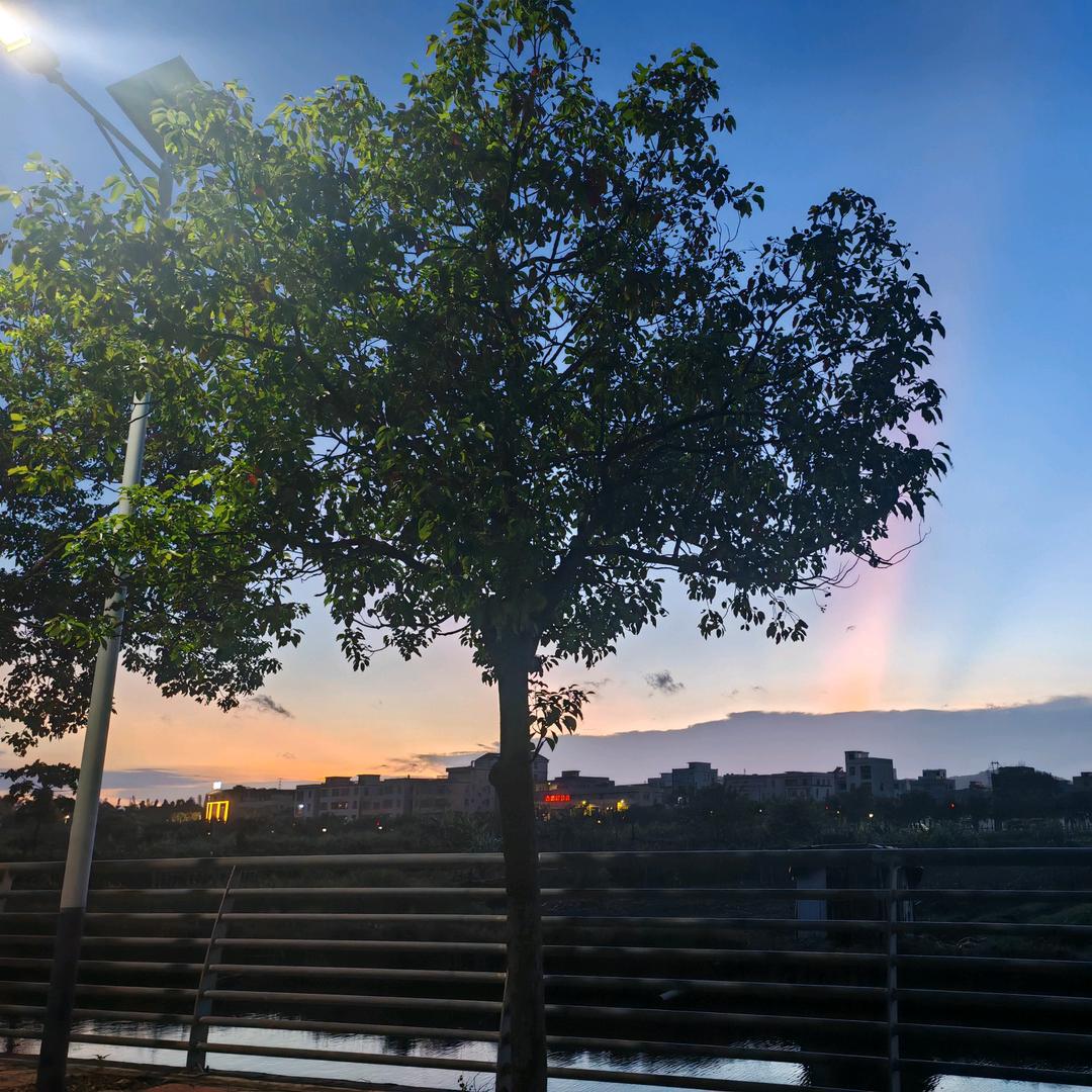 糖莲子优品小铺