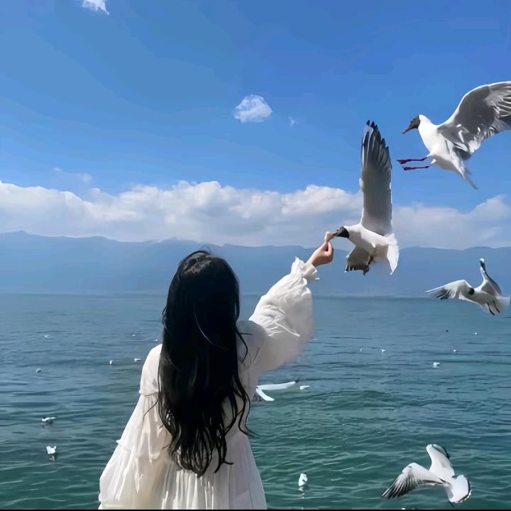 ⌯Tiᴗng⌯
