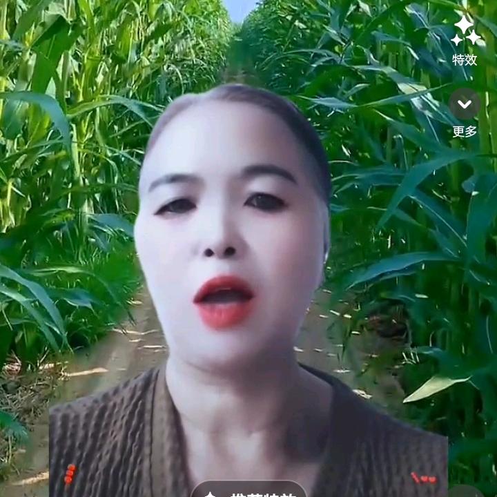 家红4点10开播