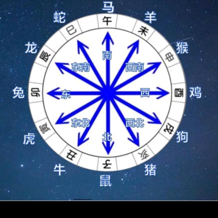 薄情的世界活出深情