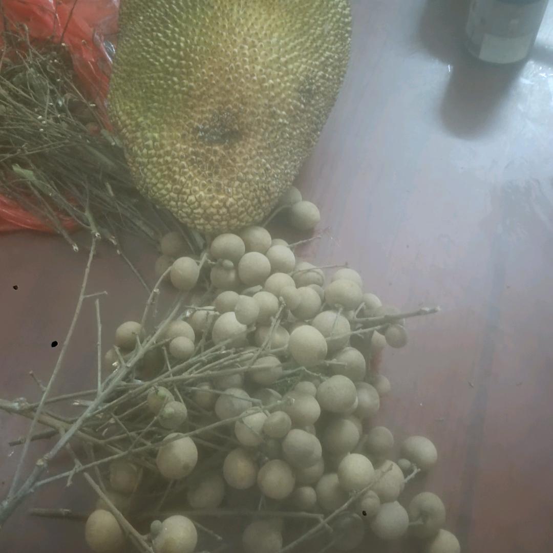 达连