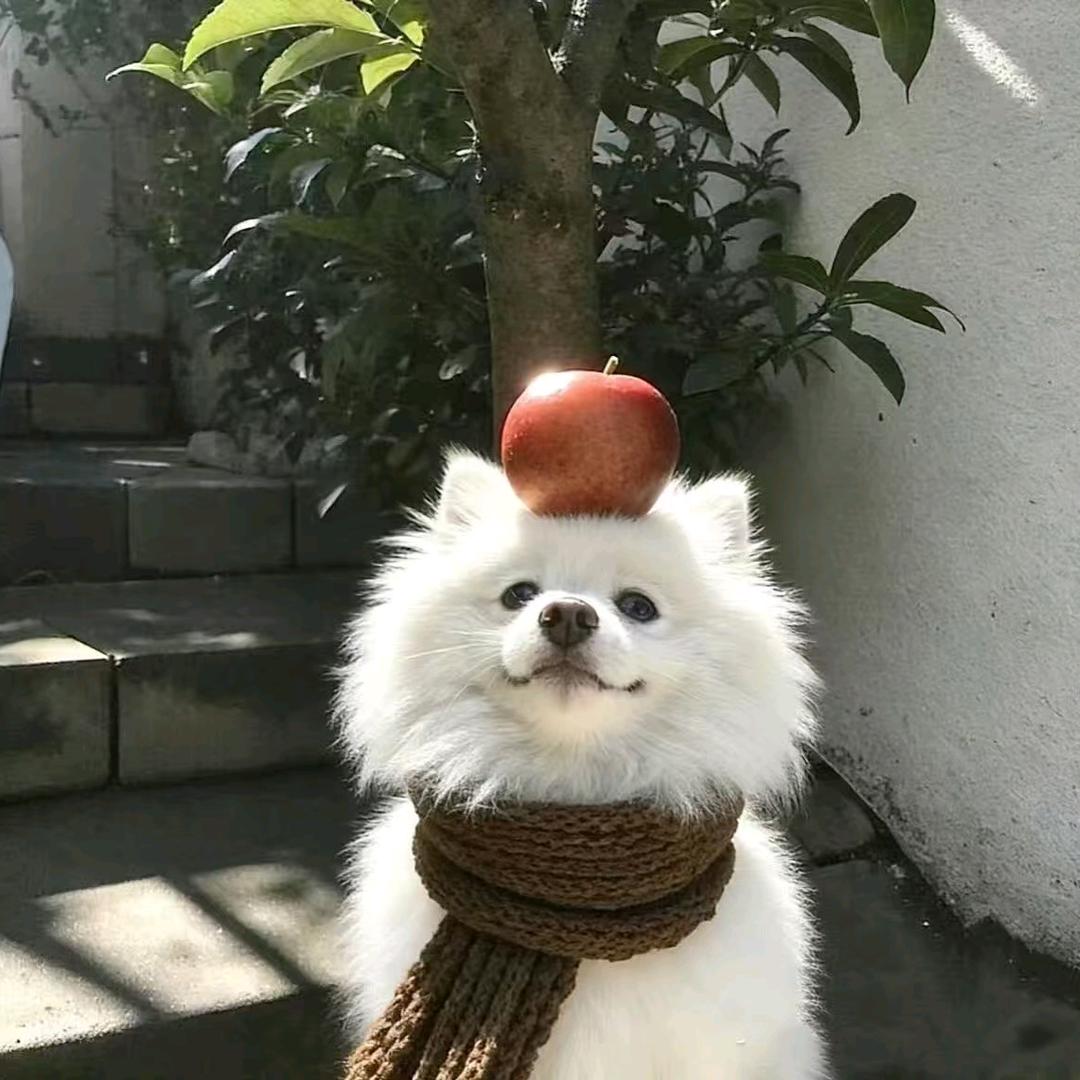 硫镝