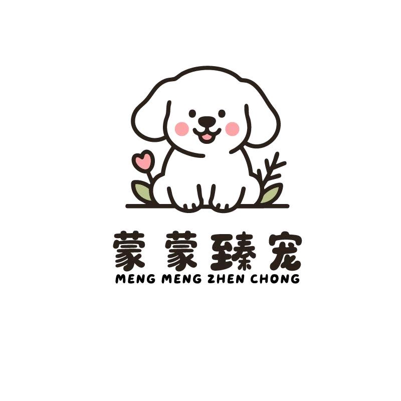 臻宠雪纳瑞直播号