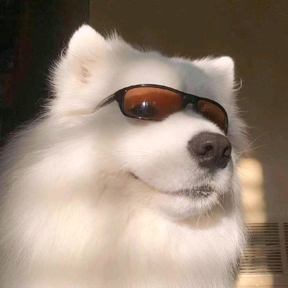 ˇ7